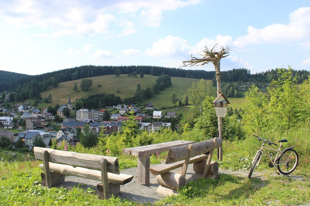 Landhotel Gasthof Zwota Klingenthal Eksteriør billede